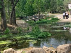 -白水寺森林公园