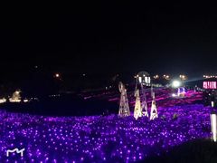 -大塘金香草谷