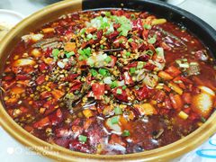 毛血旺-川娃子(万塘汇店)