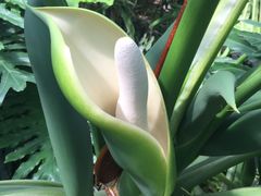 -南通洲际绿博园