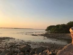 -宝安西湾红树林湿地公园