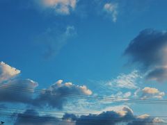 -上海动物园(地铁站)