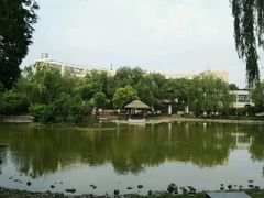 -郑州市第十一中学