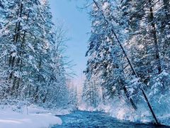 -长白山华美胜地滑雪场