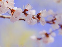 -颐和园