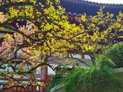 -西安华清御汤酒店