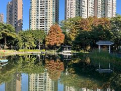-四海公园(南山区)