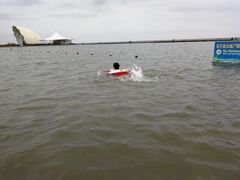 -碧海金沙
