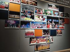 -陕西省小天鹅艺术团