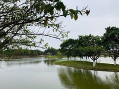 -松山湖南湖湾露营营地