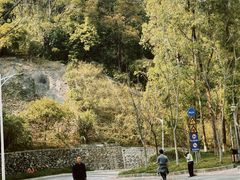 -火炉山森林公园