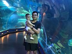 -石家庄海洋公园