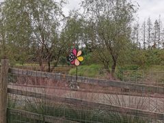 -前小桔亲子创意农场·草莓采摘·露营烧烤