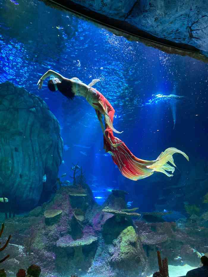 长嘉汇·海洋乐园-"去吃饭,路过看到有个海洋馆就顺道去看了一.