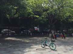 -蜀九香火锅(九眼桥店)