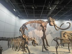 -浙江自然博物院(杭州馆)