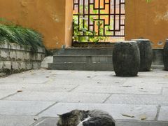 -宝通禅寺