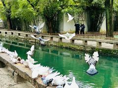 -西园戒幢律寺
