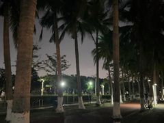 -万绿园