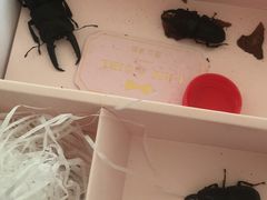 -南通博物苑-崇川人民公园