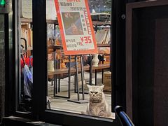 -25#COFFEE(古地石店)