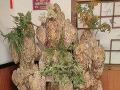-成老灶火锅鸡(平山店)