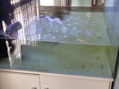 -印堂精品装饰丨一站式装修(宜山店)