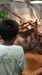 -Zoolung Zoolung动物主题公园(海信广场店)