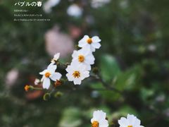 -厦门五通客运码头