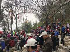 -屈原故里文化旅游区