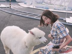 -Blue Concept Cafe&Farm·關於藍
