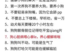 -翊宠yipet猫狗购宠庄园犬舍•猫舍