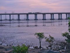 -宝安西湾红树林湿地公园