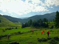 -芦芽山旅游度假区
