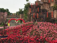 -松山湖梦幻百花洲