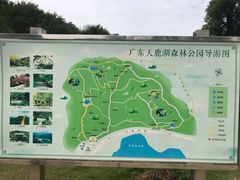 -天鹿湖森林公园