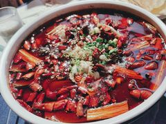 -院8里·小乐园家常味川菜(鹭洲里店)