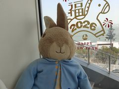 -朵云书院(滴水湖店)