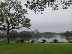 -大宁郁金香公园-停车场