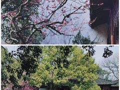 -杭州植物园