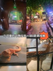 -酷嗒动物文化乐园(cutezoo西溪乐天城店)