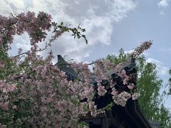 -元大都城垣遗址公园