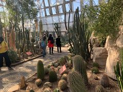 -北京植物园-展览温室