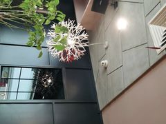 -庭院里的小幸福(开发区万达店)
