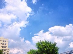 晴天-广东科技学院(南城校区)