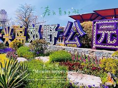-上海长兴岛郊野公园