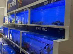 -蟹状元大闸蟹·年货·粽子(成都成华店)