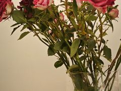 -艾加柒克蛋糕茶歇甜品台(春熙路店)