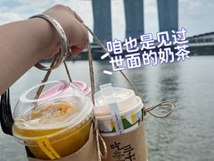 -鱼尾狮公园