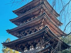 -醍醐寺